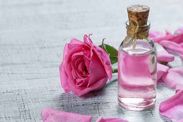 نام گلاب مرغوب به عنوان برترین محصول در گینس ثبت شد